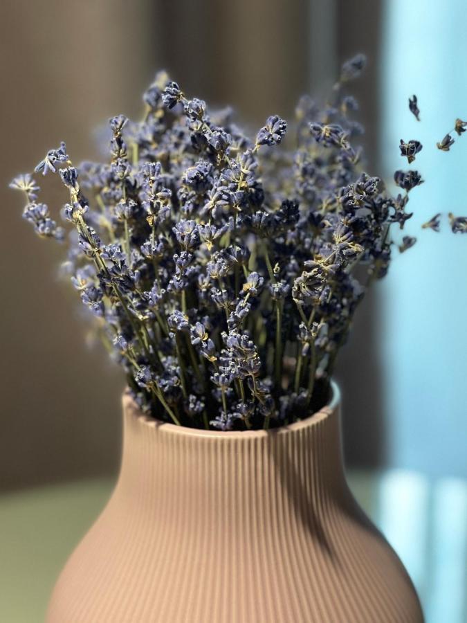 Jeny Boutique Apartment Târgu-Mureş Eksteriør billede